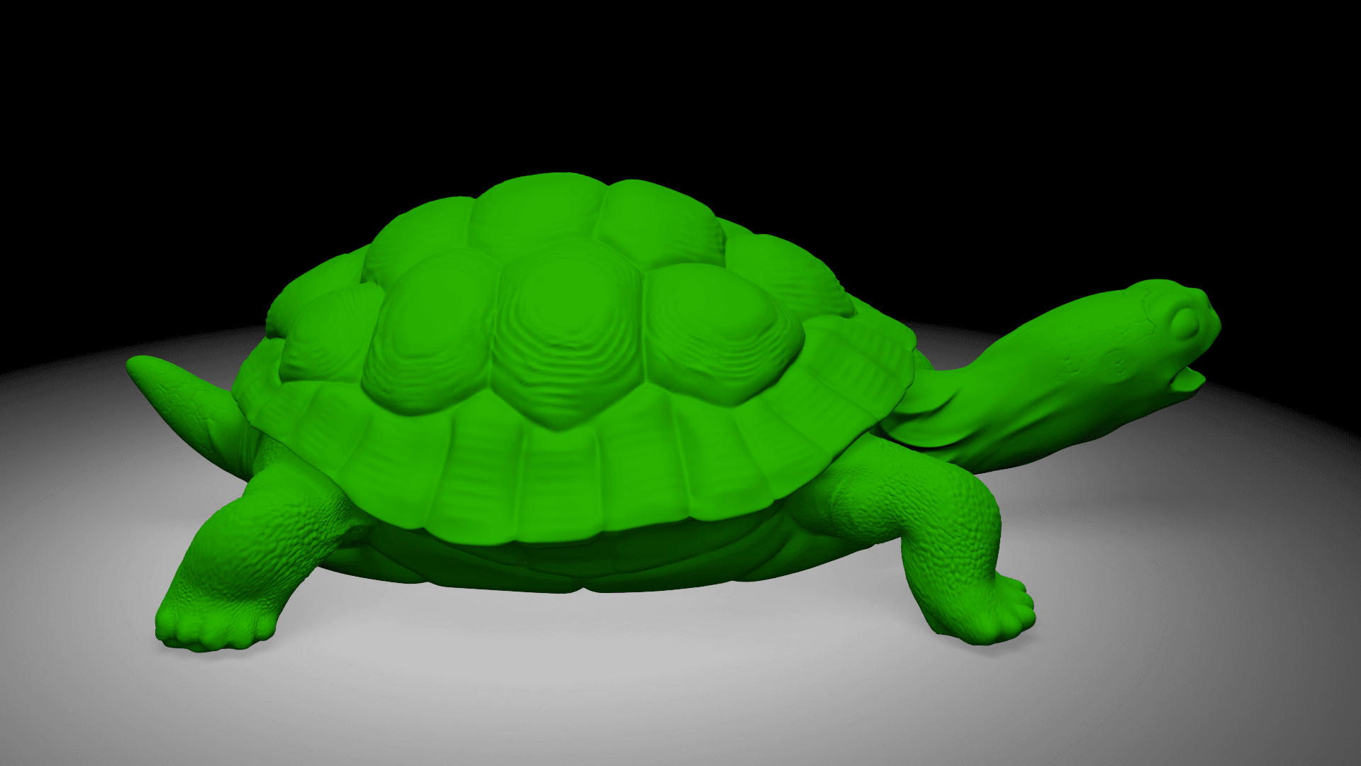 Tortois 3d model