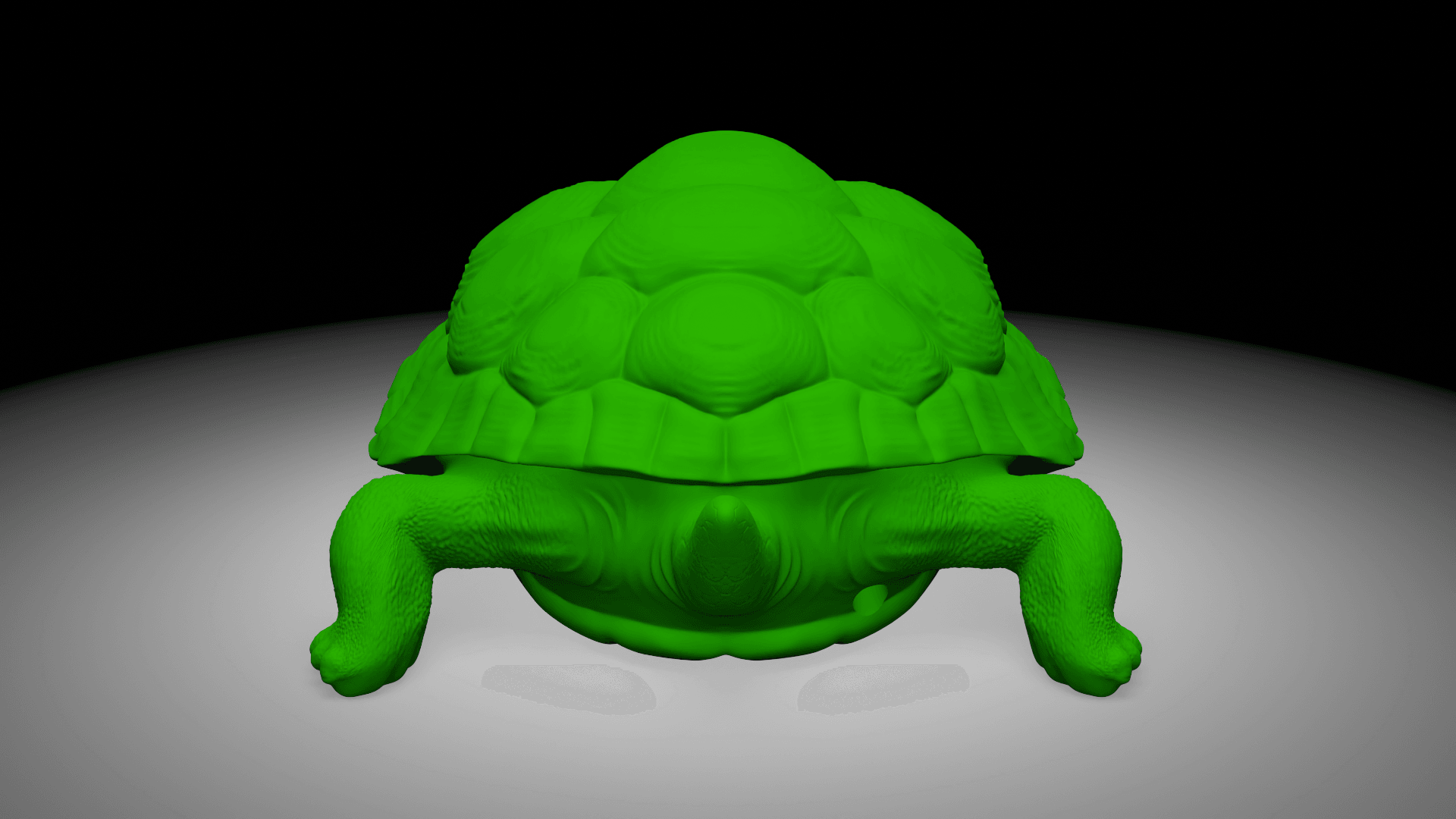 Tortois 3d model