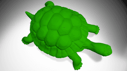 Tortois 3d model