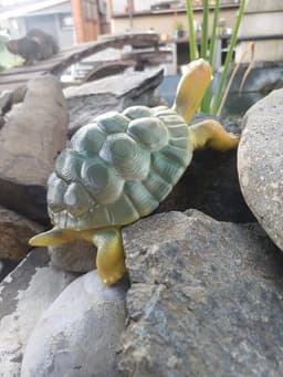 Tortois 3d model