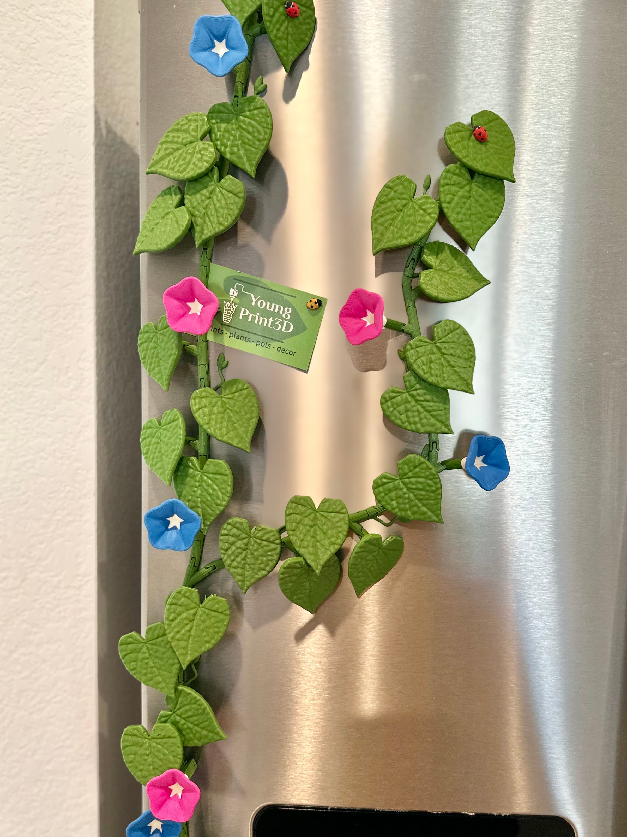Love these magnets!
