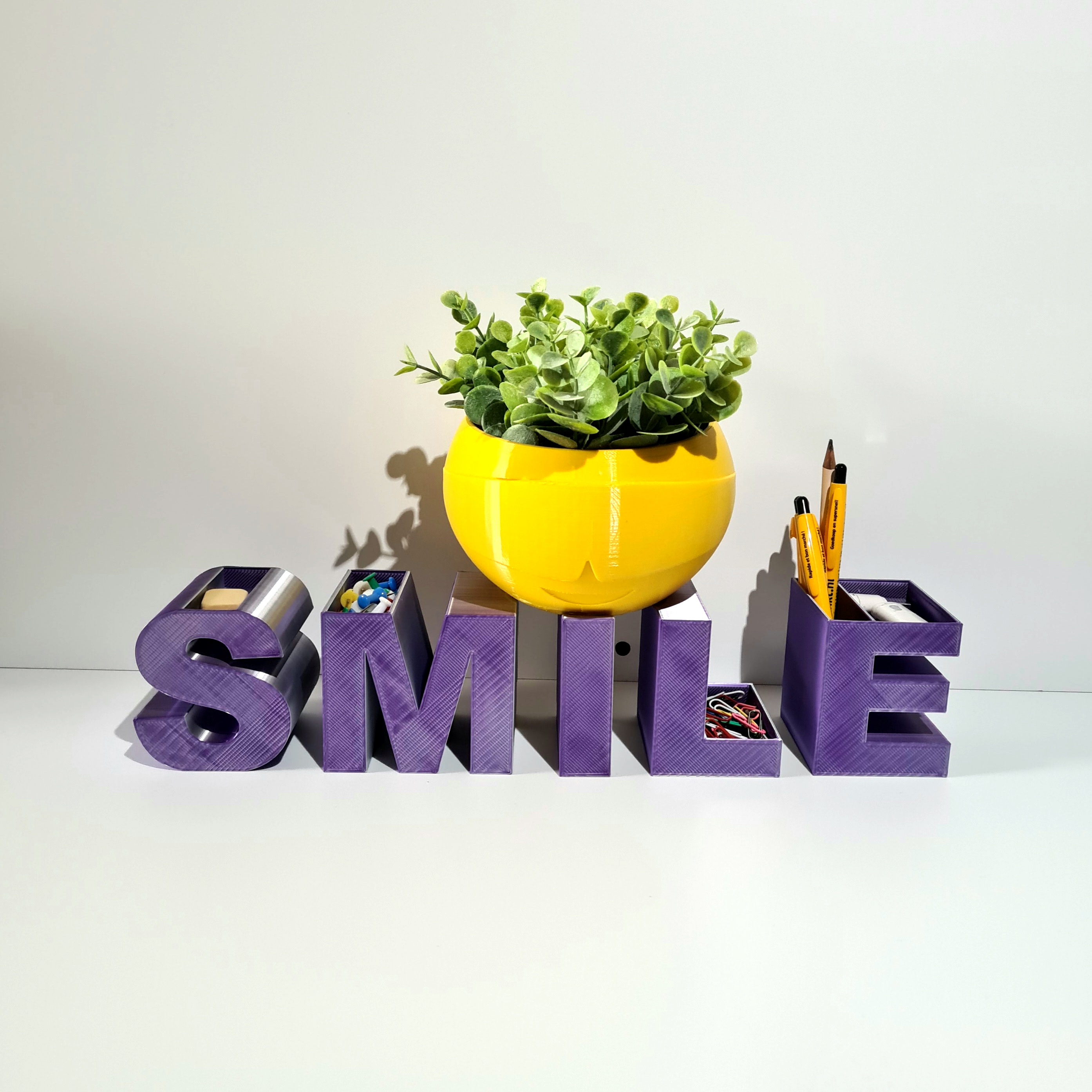desktop organizer/planter 3d model