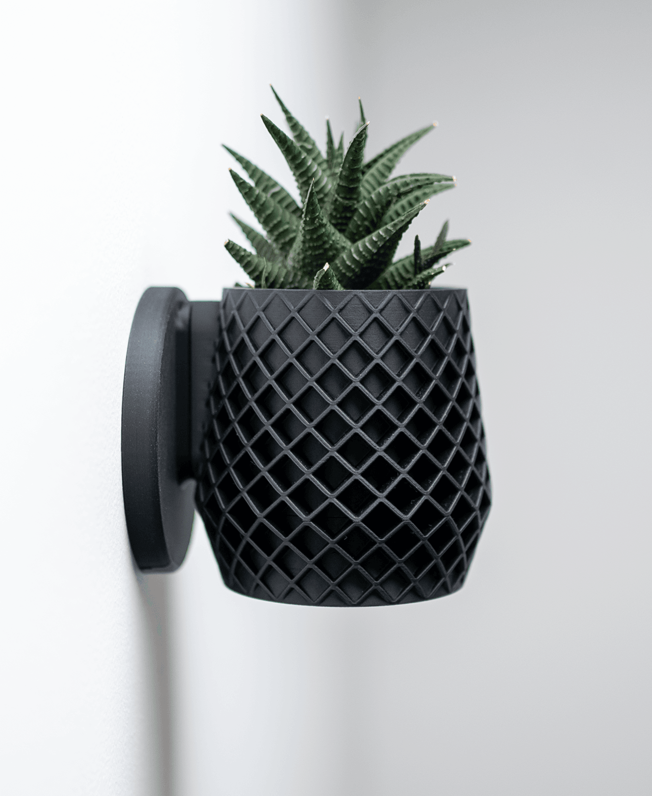 Lattice Planter 3d model