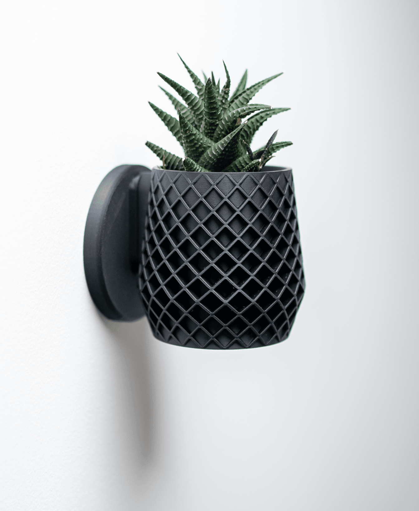 Lattice Planter 3d model