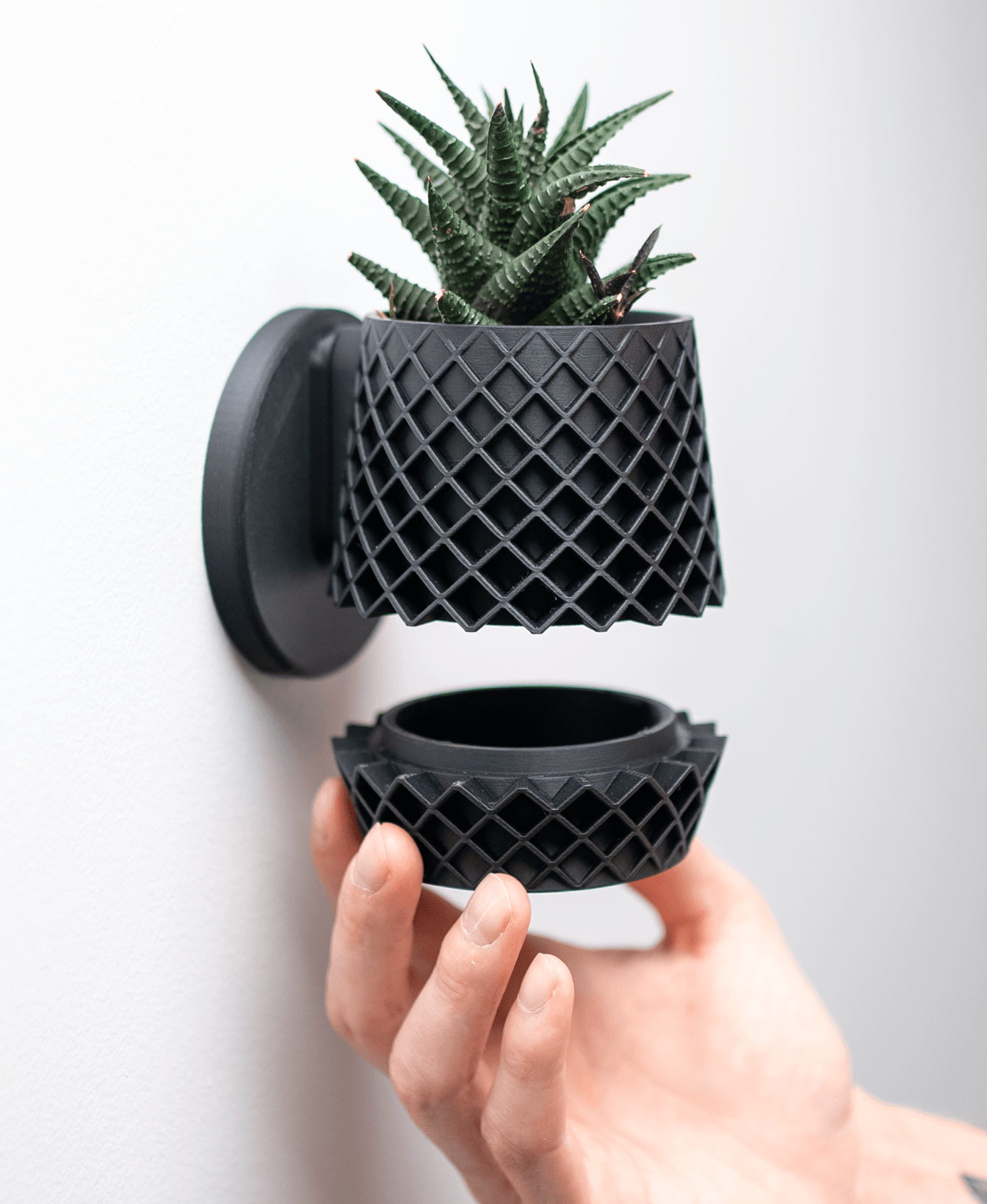 Lattice Planter 3d model