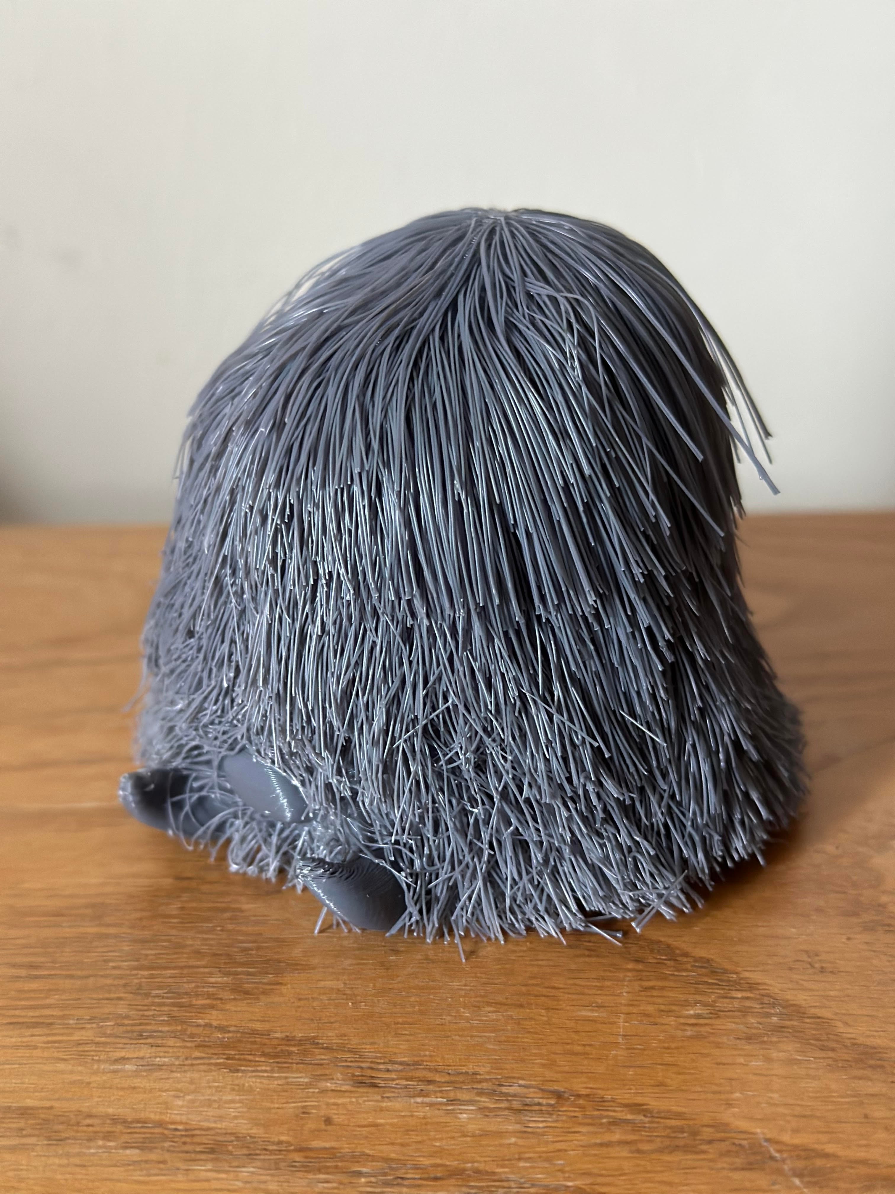Piloswine-Hairify.stl 3d model