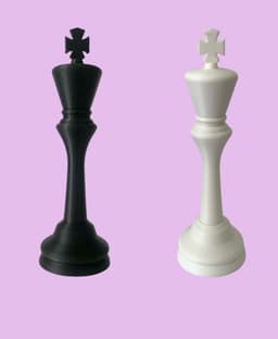 Chess King Pen 3d model