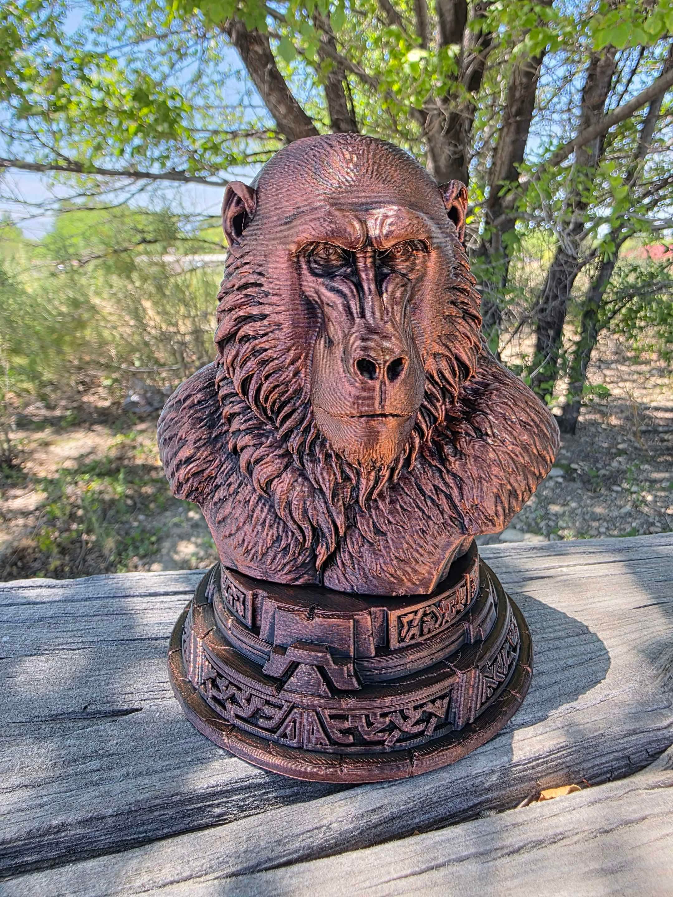Baboon Bust 3d model