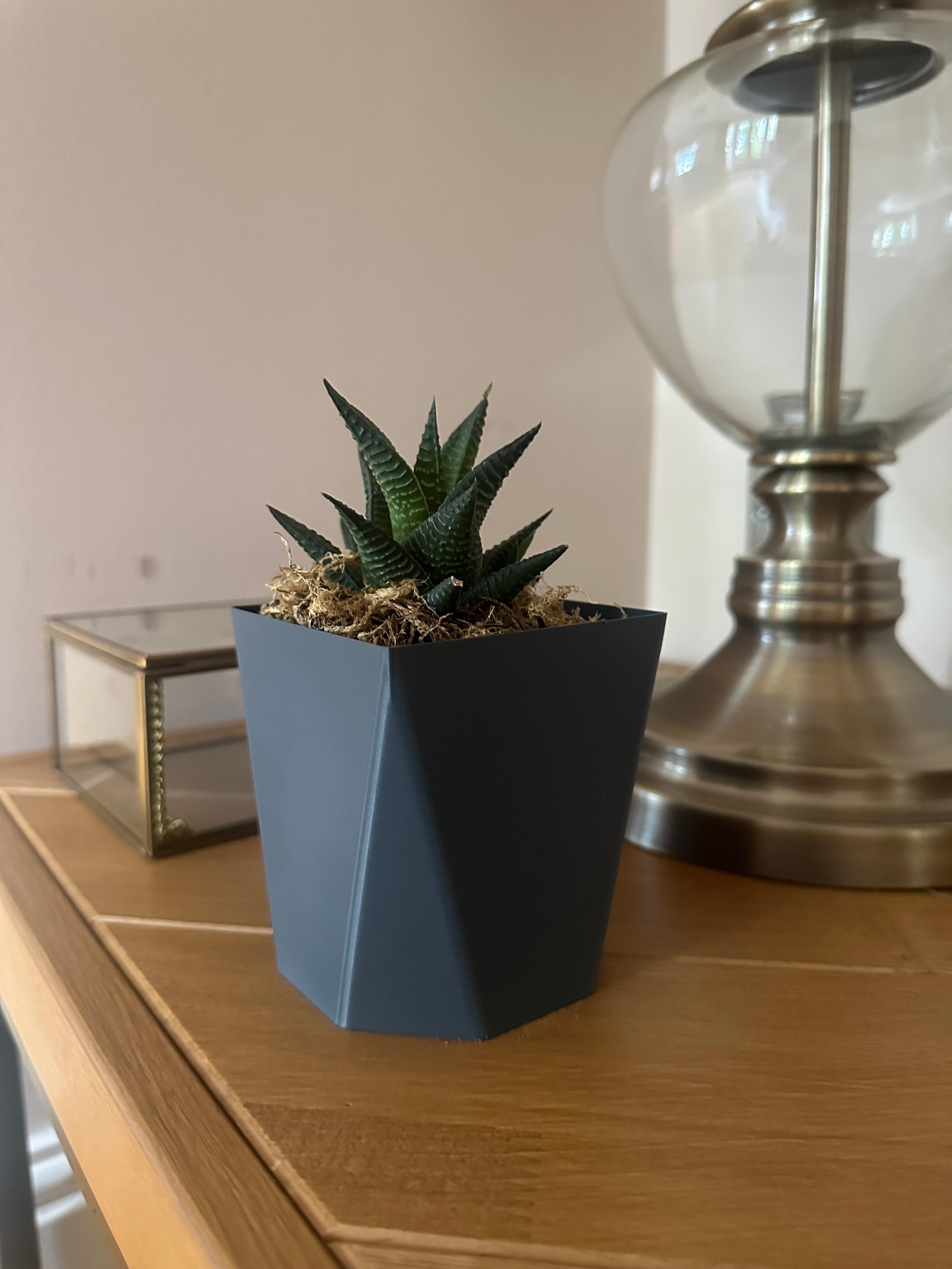 Octagon Vase Mode Pot/Planter 3d model