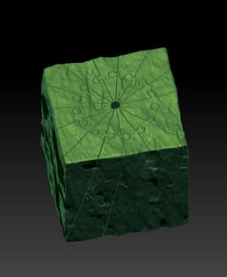 Gelatinous Cube Spiral Twist Fidget 3d model