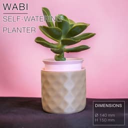 WABI | Self-watering Planter 3d model