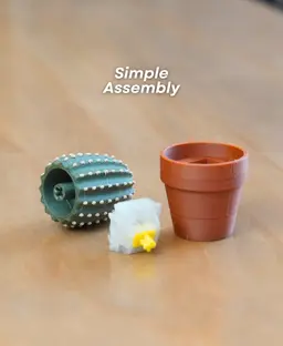 Clicky Cacti - Fidget Toy with Mechanical Switches - Pocket Plants 3d model