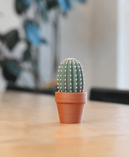 Clicky Cacti - Fidget Toy with Mechanical Switches - Pocket Plants 3d model