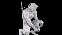 Tactical Ninja Shinobi - Azure Assassin Collectible Statue 3d model