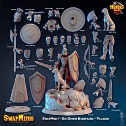 Swapmini 1 - Paladin -Sir Oswin Nightbane 3d model