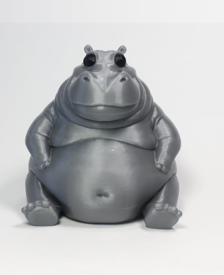 Hippo Dad 3d model