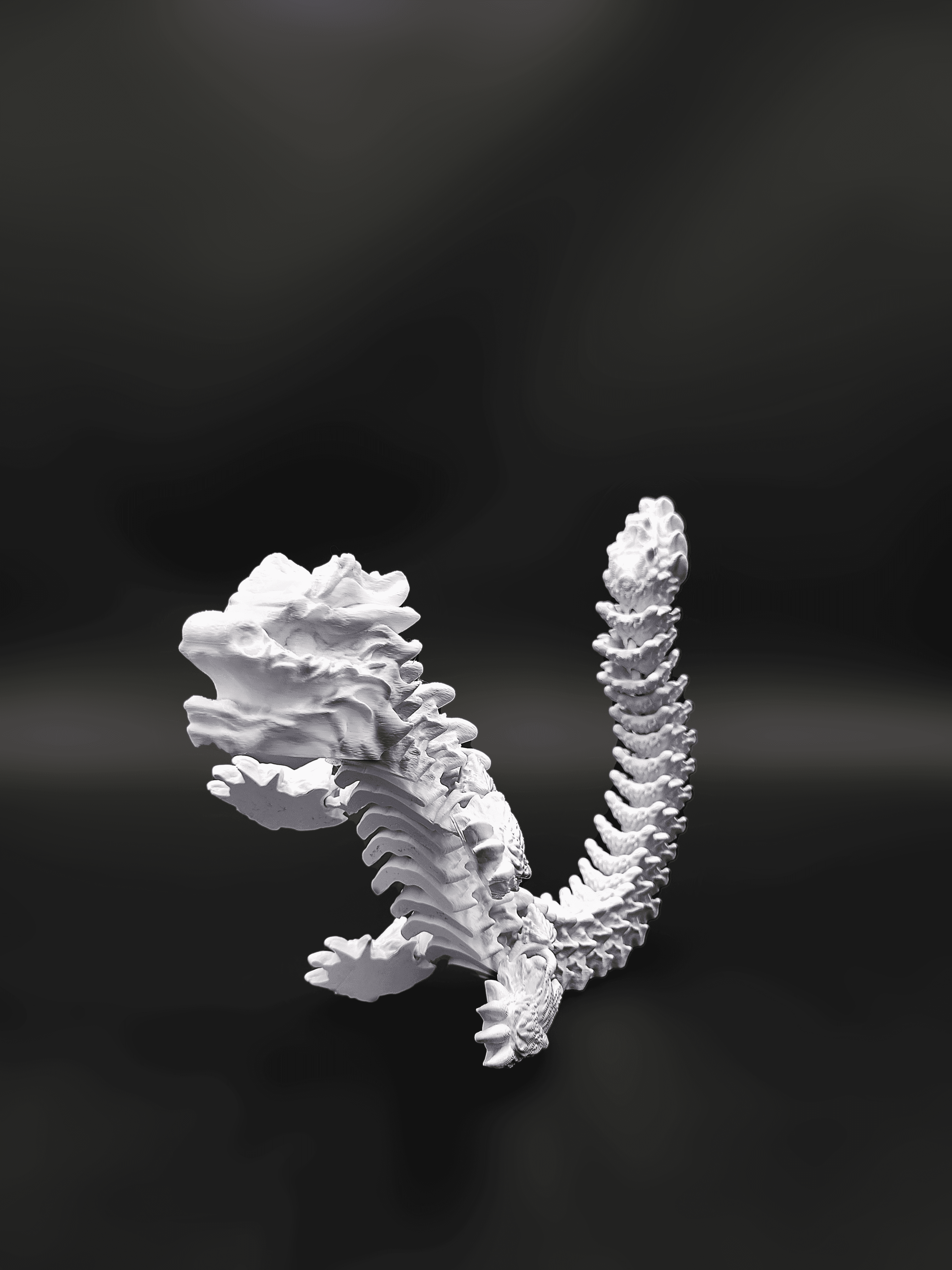 Snowstorm, Winter Dragon - Articulated Dragon Snap-Flex Fidget (Loose Joints) 3d model