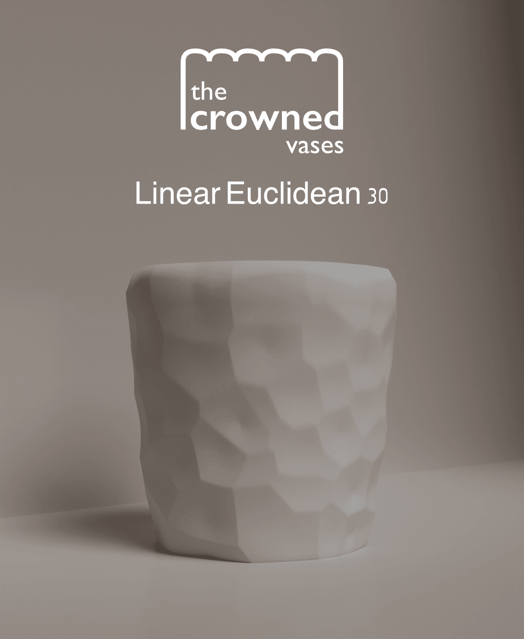 The Crowned Vases - Linear Euclidean 30 3d model