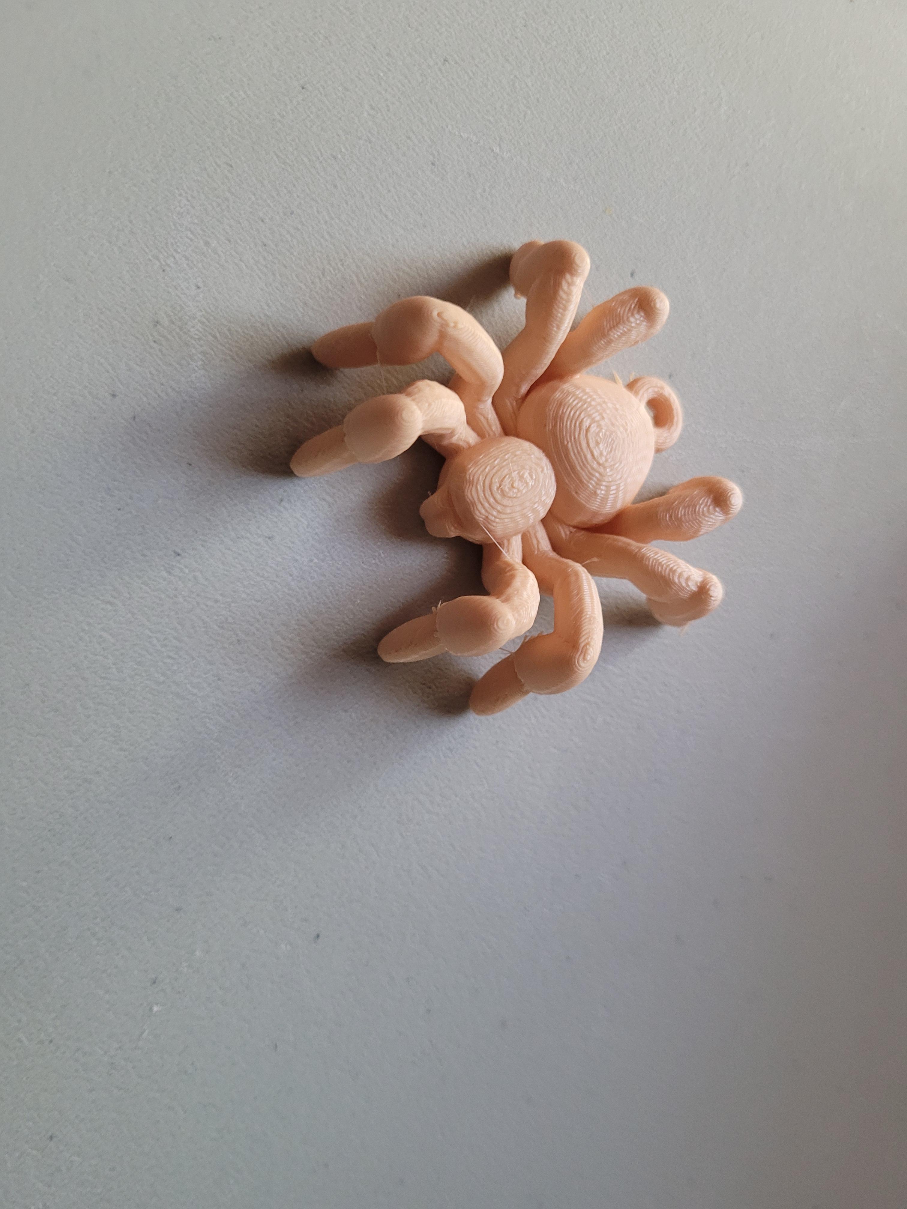 Small Spider 3d model