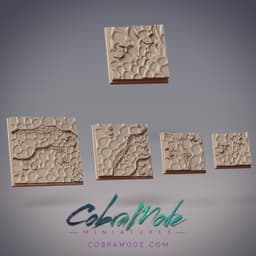 Lichen Steps Square Base Pack (4pcs) 3d model