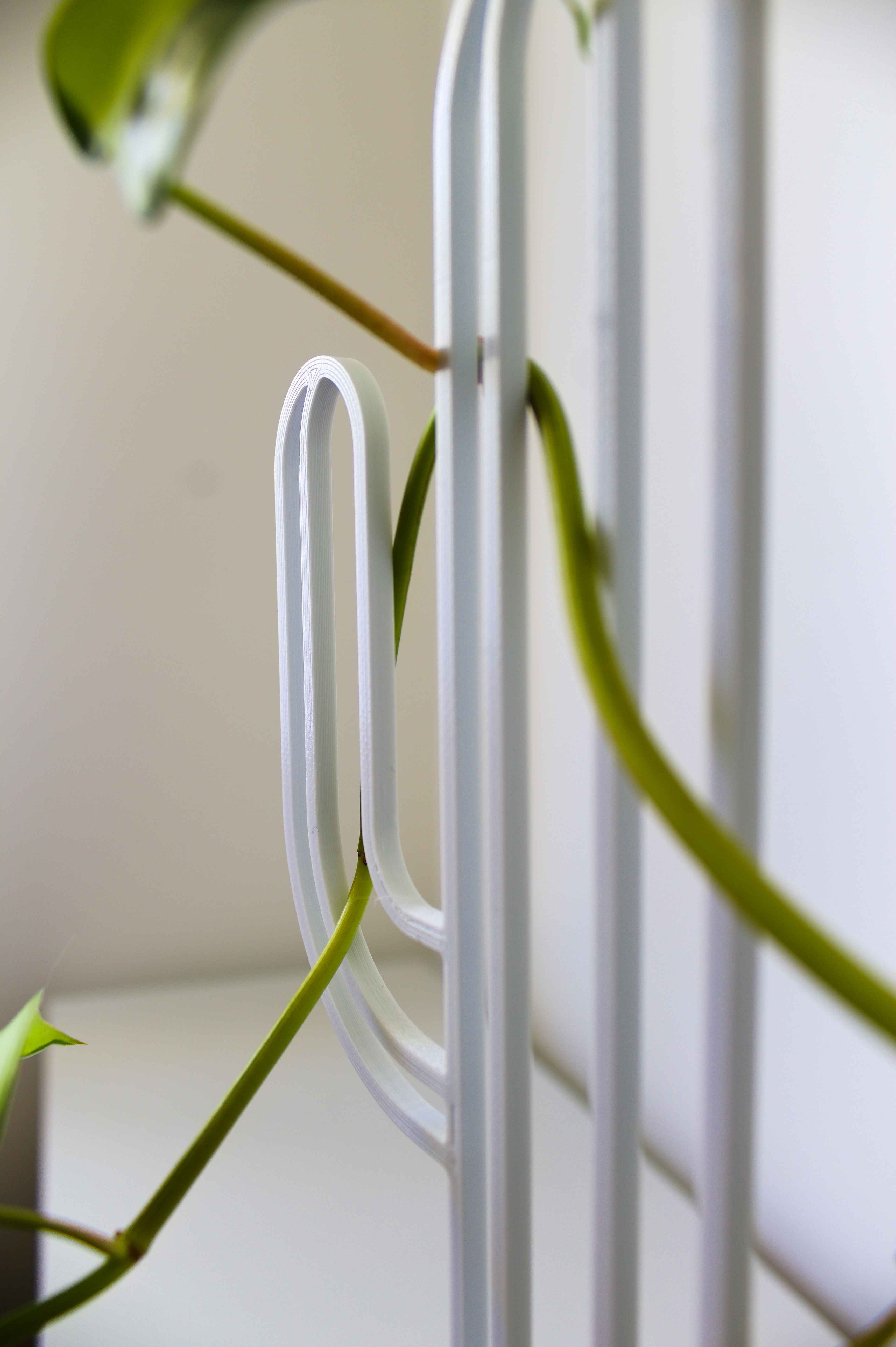 Cactus Planter Trellis 3d model