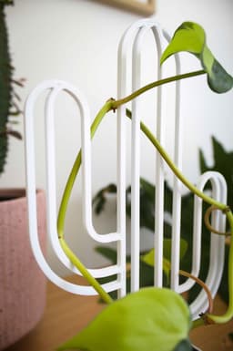 Cactus Planter Trellis 3d model