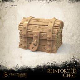 Reinforced Chest 3d model