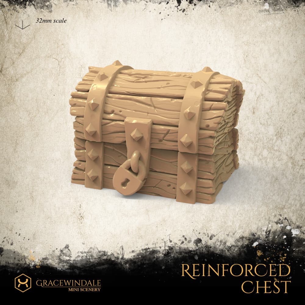 Reinforced Chest 3d model