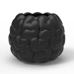 BRAIN PLANTER POT 3d model