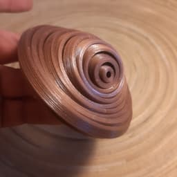 Chameleon Zen Toy 3d model