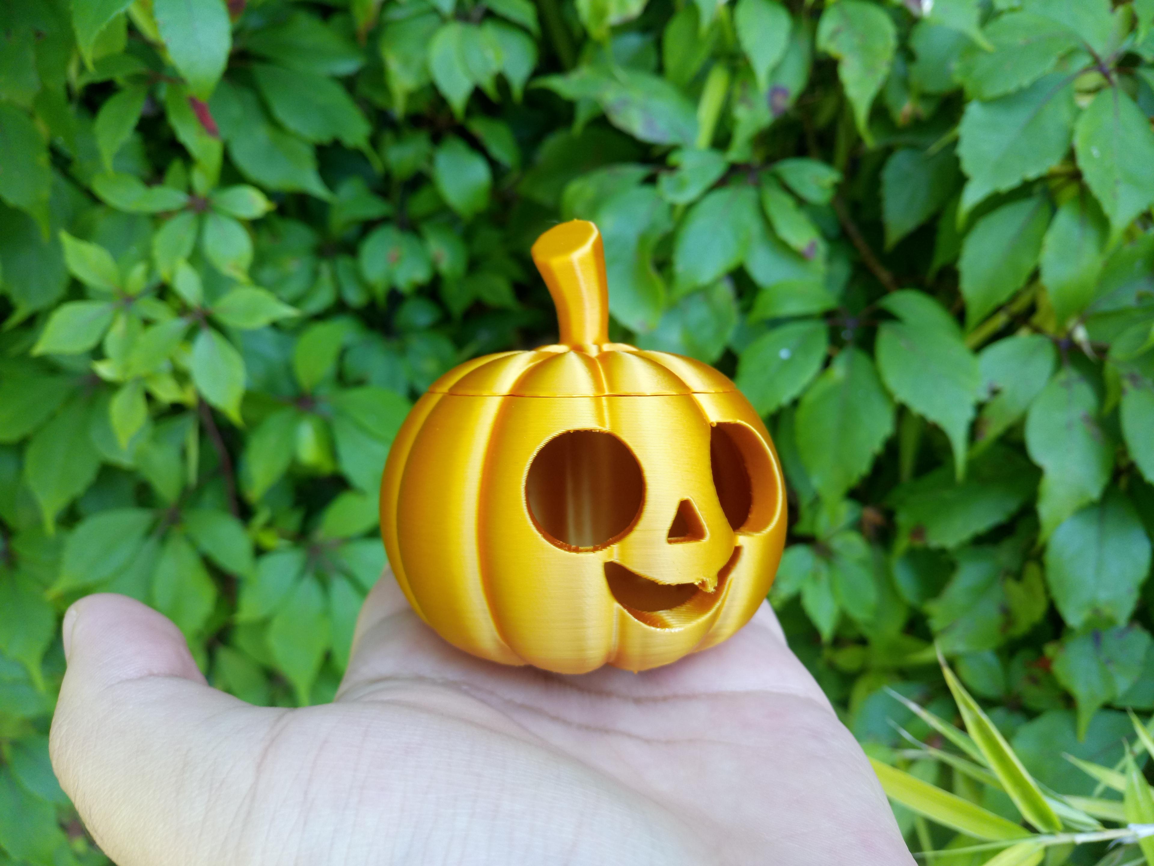Little Pumpkin 3d model