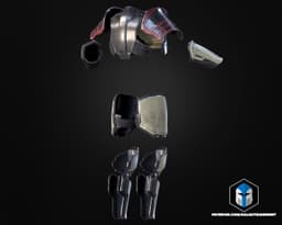 HD2 Armor - Champion of the People - 3D Print Files 3d model