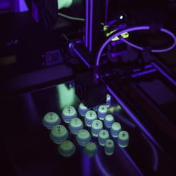 Mushroom Caps for Glowing Mushroom Light 3d model