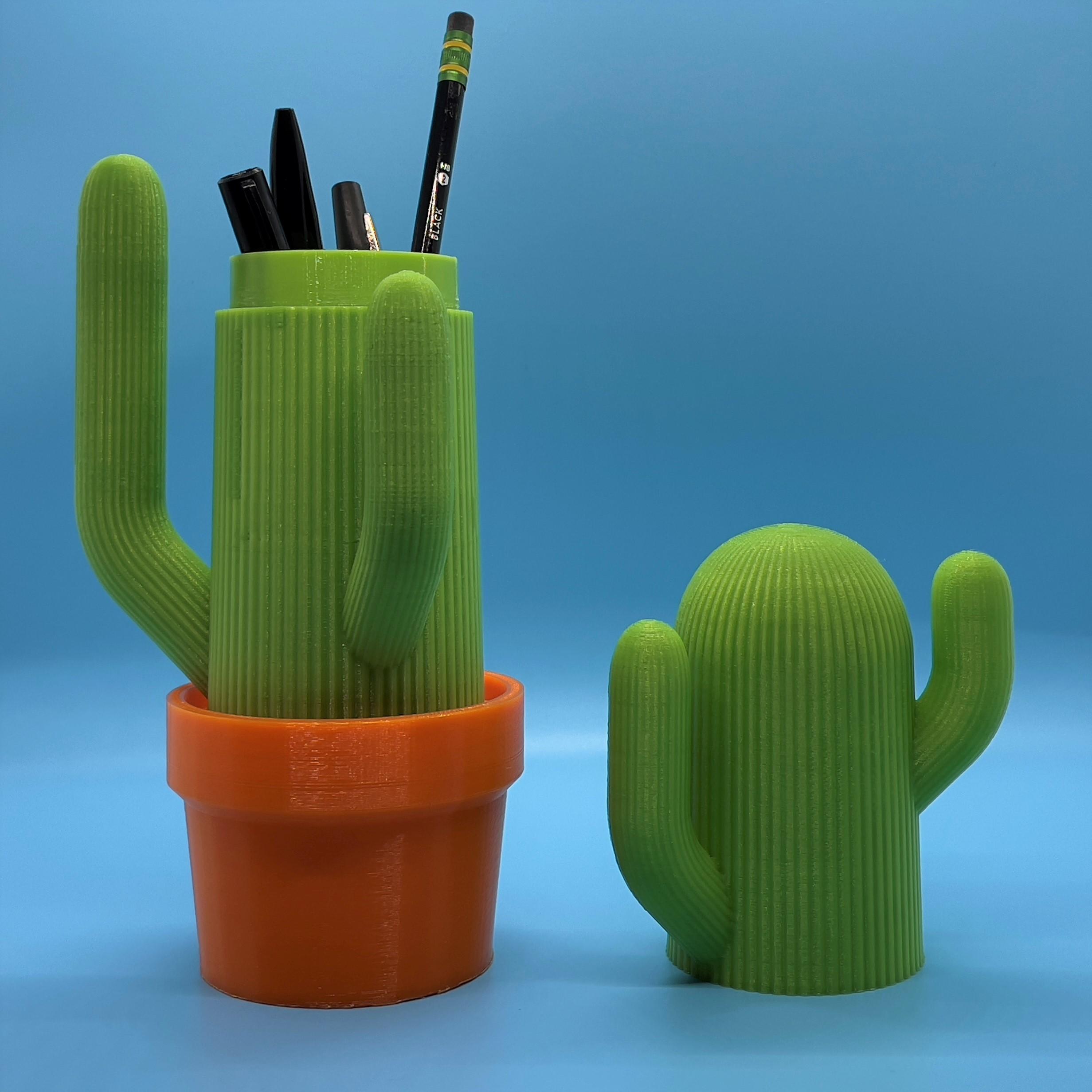 The Cactus Caddy 3d model
