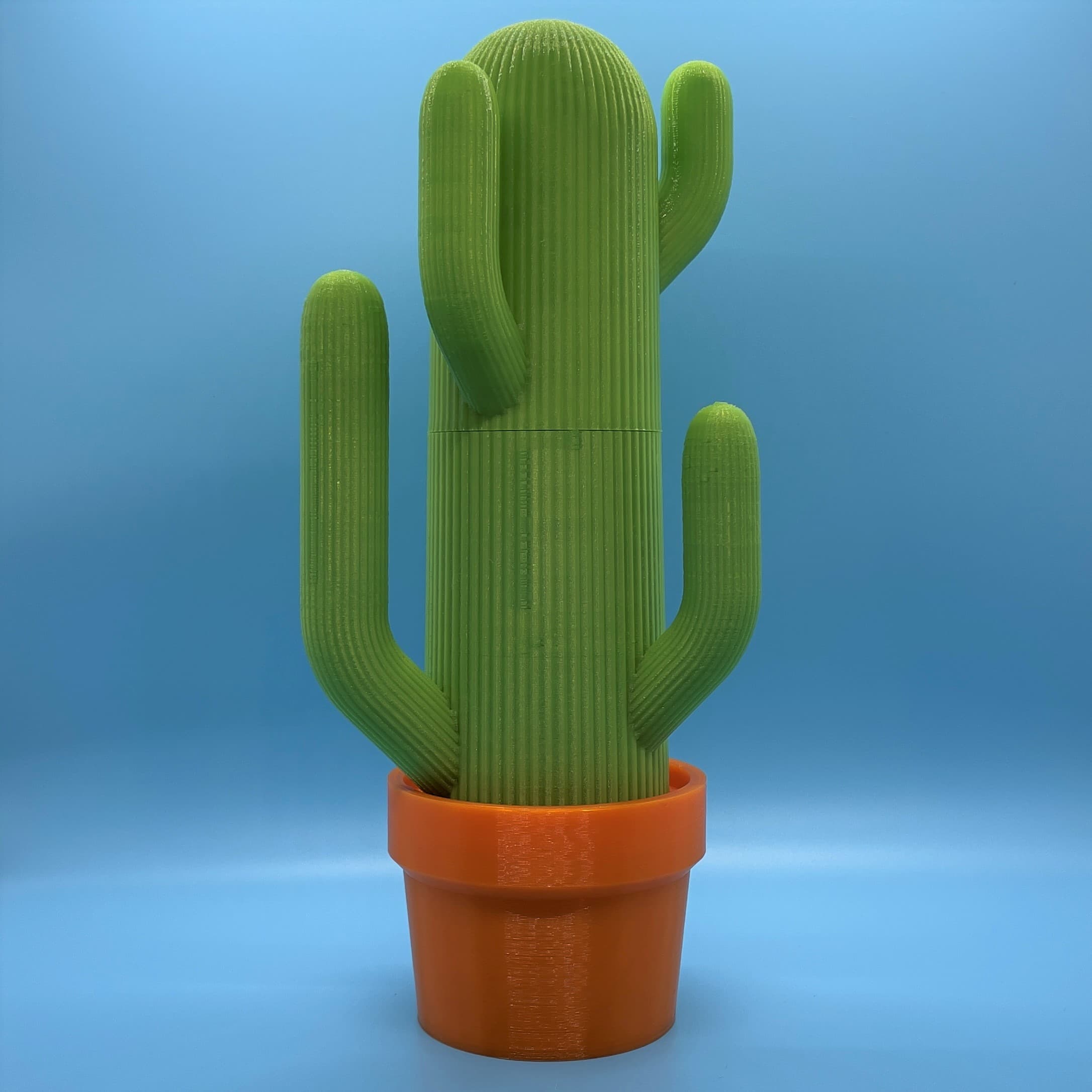 The Cactus Caddy 3d model