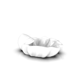 Sea shell 3d model