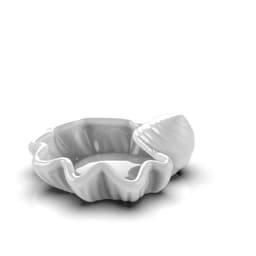 Sea shell 3d model