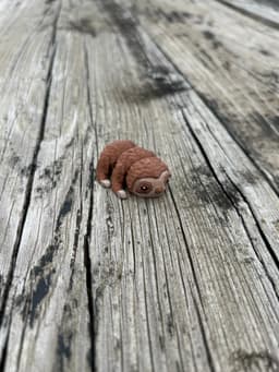 Baby Sloth Fidget with solid legs 3d model