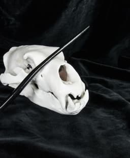 Death Eater's Thestral Wand - Harry Potter 3d model