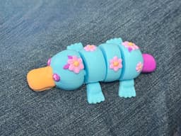 Floral Platypus Updated 2026 3d model