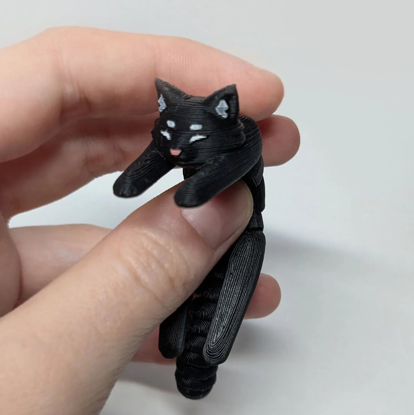 Fluffy Cat 3d model