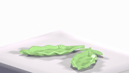 The Resting Leaf — Jewelry & Sweet Tray 3d model