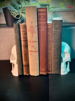 Skull bookends 3d model