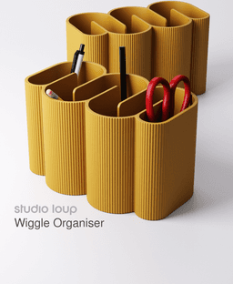 Wiggle Organiser 3d model