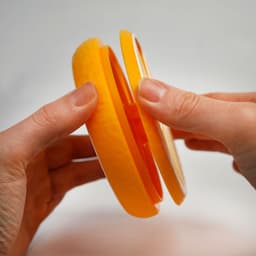 Loopfruit โ The Citrus Pill Organizer that Clicks 3d model