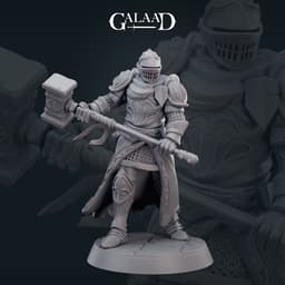 Dark fantasy Knight 04 3d model