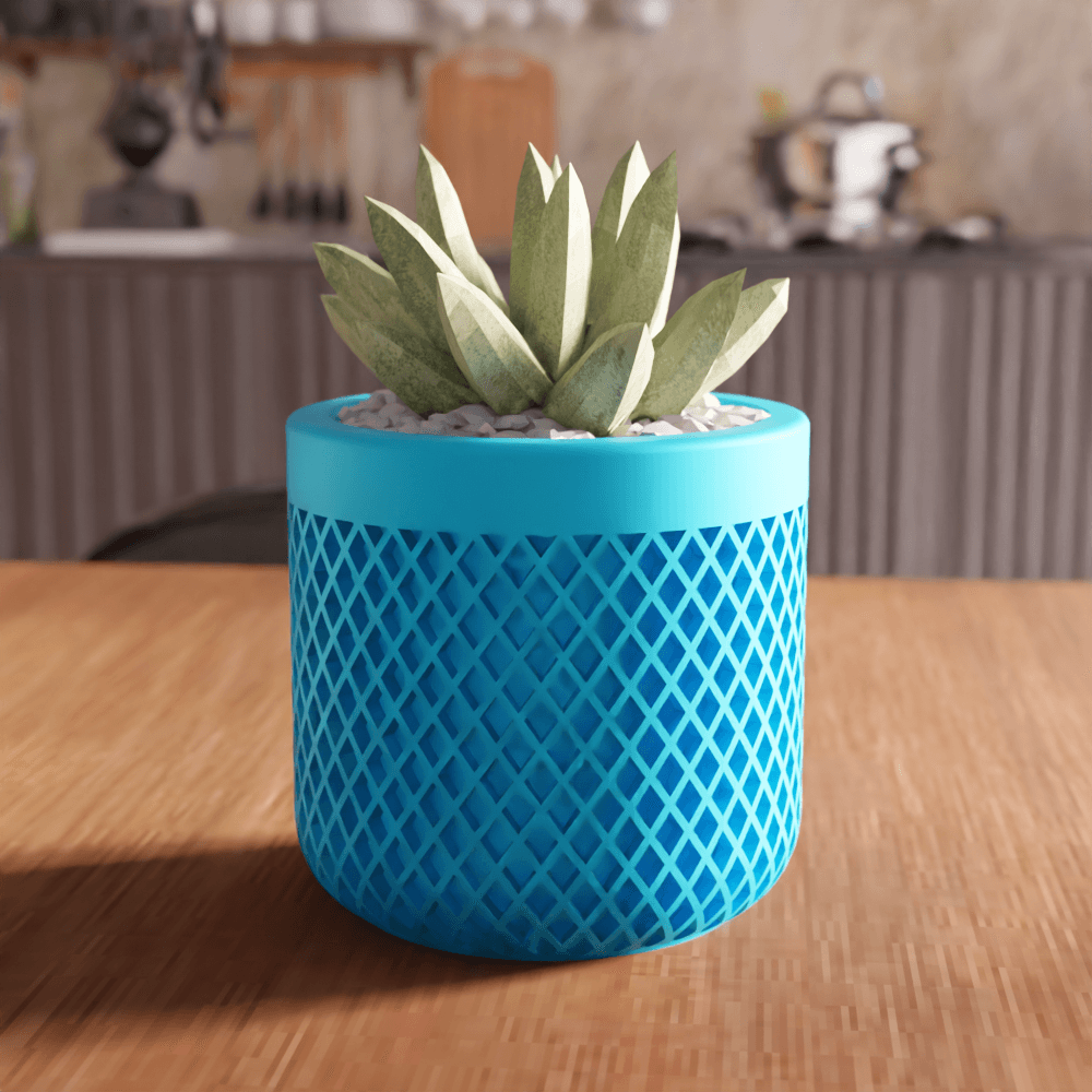 Lattice Succulent Planter and Organizer 3d model