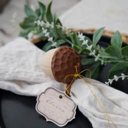 Acorn Napkin Holder with Hidden Storage 3d model