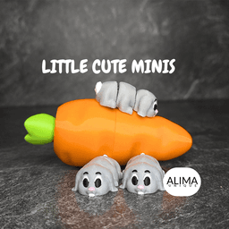 Little Baby Bunny incl. Carrot Box / Articulated Flexi Fidget Toy 3d model