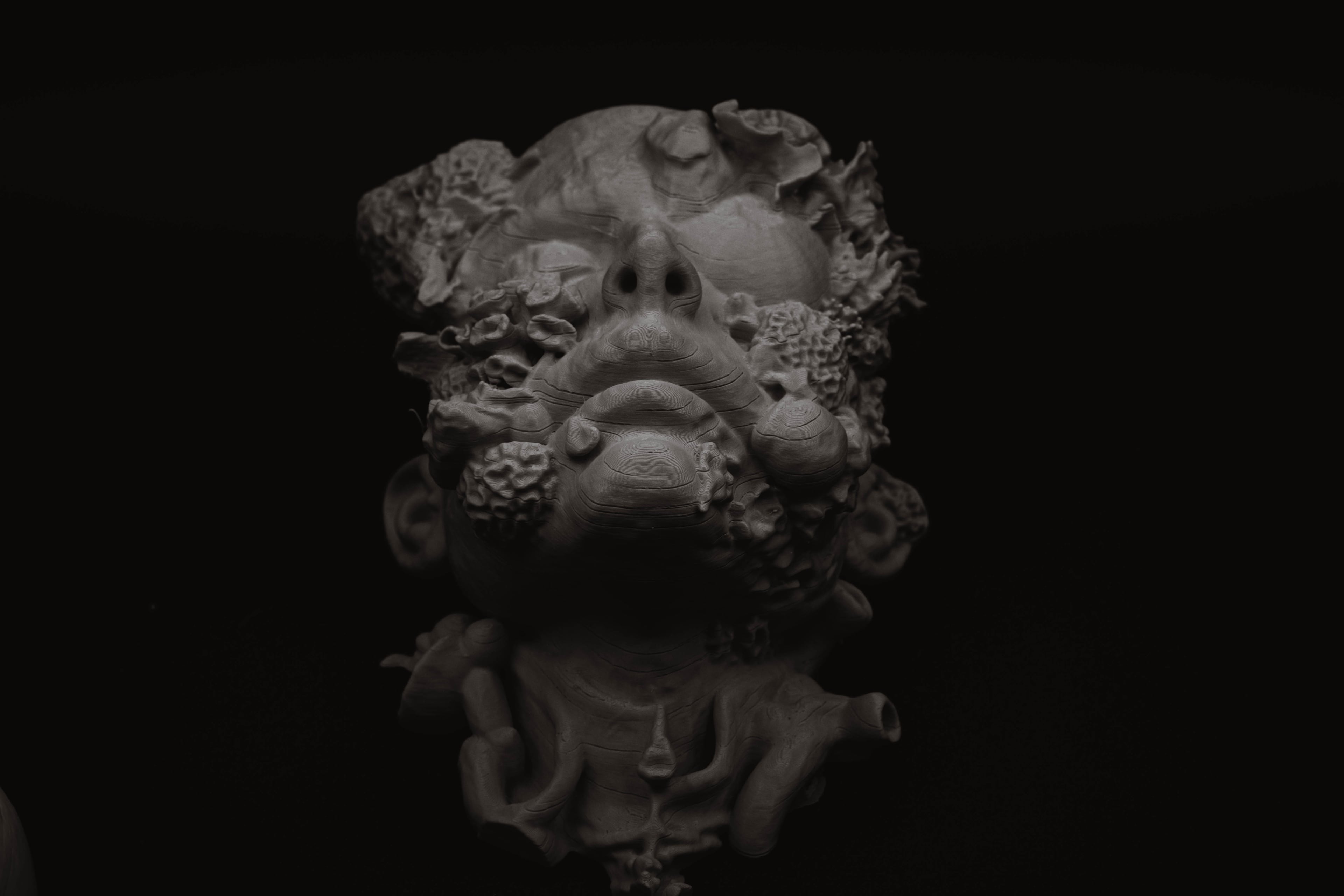 Coral Modular (Pre Supported) 3d model